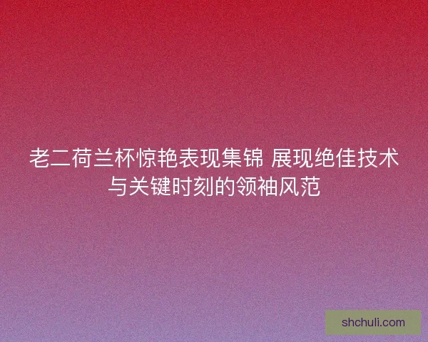 老二荷兰杯惊艳表现集锦 展现绝佳技术与关键时刻的领袖风范