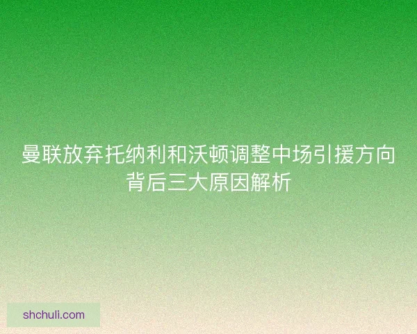 曼联放弃托纳利和沃顿调整中场引援方向背后三大原因解析 曼联放弃托纳利和沃顿调整中场引援方向背后三大原因解析